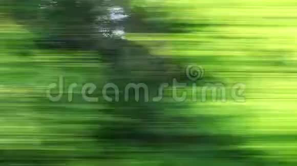 汽车在穿过绿色森林的道路上超速行驶侧窗模糊的运动视野视频的预览图