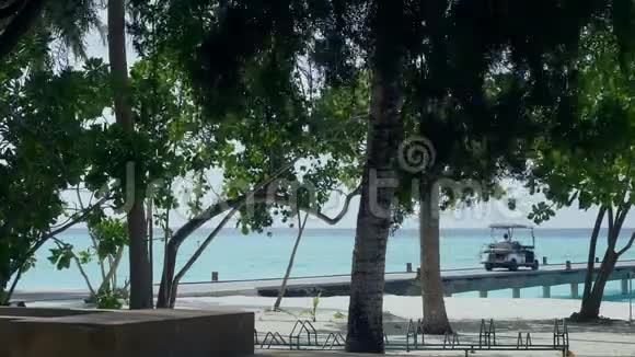 热带沙滩有棕榈树和码头视频的预览图