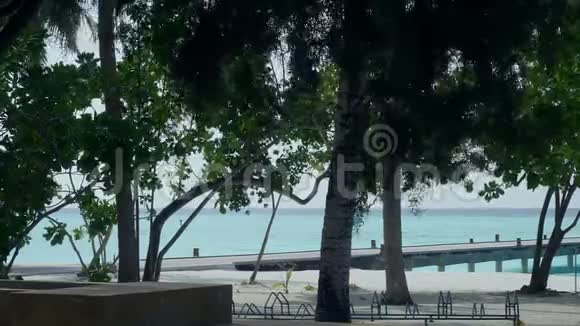 热带沙滩有棕榈树和码头视频的预览图