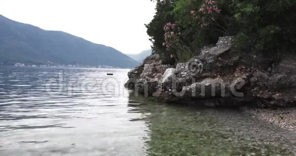 美丽的岩石海岸有夹竹桃树和干净的透明海洋海洋和海岸概念视频的预览图