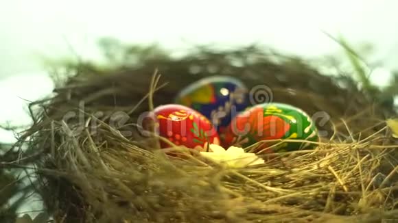 三个彩蛋和一朵花在巢里视频的预览图