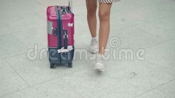 后景女士带着行李在机场候机楼朝私人飞机走去穿着衣服的快乐学生游客视频的预览图