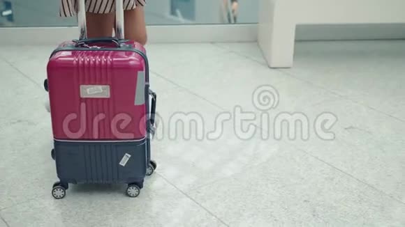 后景女士带着行李在机场候机楼朝私人飞机走去穿着衣服的快乐学生游客视频的预览图