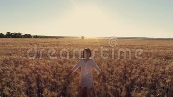 空中摄影女孩在日落时穿过麦田慢动作高速摄像机视频的预览图