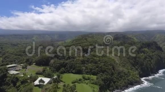 深绿色野生热带森林基阿纳海海岸线海景夏威夷毛伊岛4k空中无人机视频的预览图