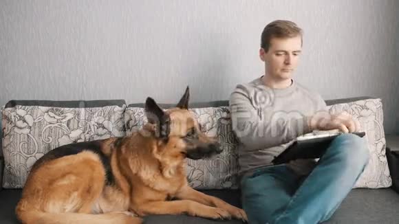 男人用平板电脑和你的狗坐在沙发上视频的预览图