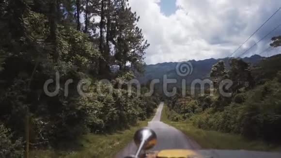 汽车穿过丛林视频的预览图