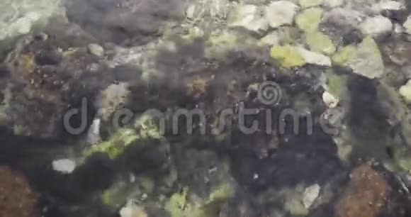 宁静的场景海底的岩石在浅清净的海水中的暑假视频的预览图