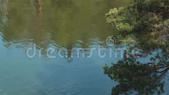 水在河上荡漾美丽湖泊中的树木倒影视频的预览图