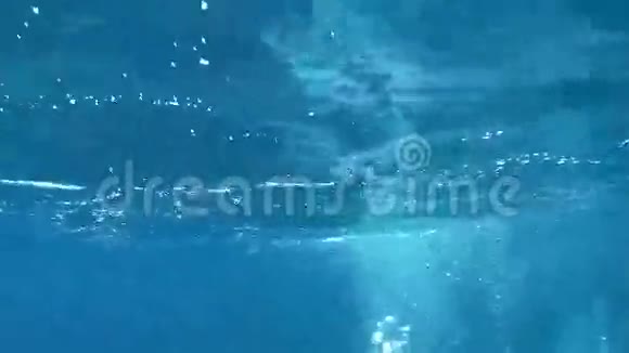 美丽的水下海景自然光线照射在水中水面闪闪发光移动视频的预览图