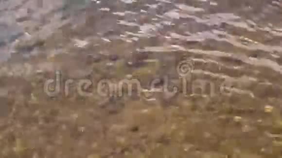 在金色的浅滩上的强烈流动视频的预览图
