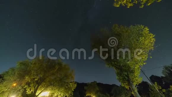 树木银河系和恒星的夜间运动时间推移视频的预览图