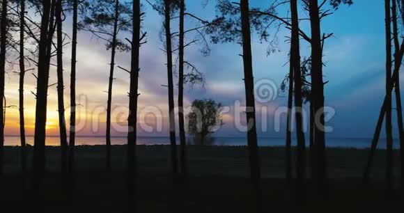4空中镜头日落时分在海岸的树后飞翔视频的预览图
