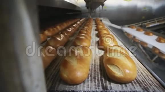 机械化面包店生产面包视频的预览图