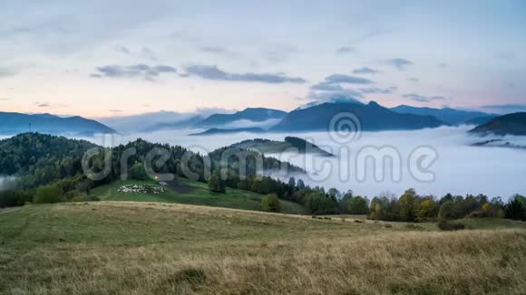雾蒙蒙的早晨云在秋山日出前带着羊场翻江倒海视频的预览图
