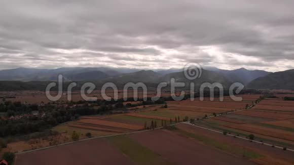 特兰西瓦尼亚美丽的黄色田野的鸟瞰图视频的预览图