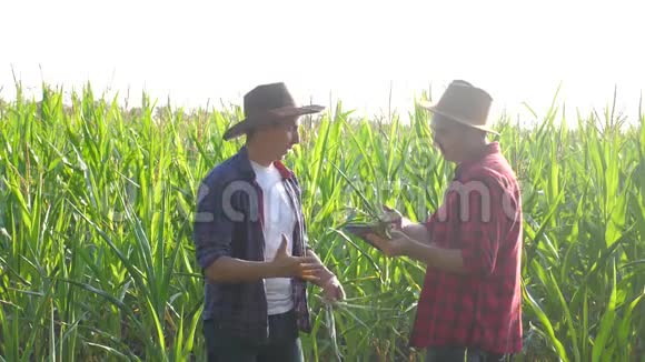 团队合作智慧农牧概念慢动作视频两个男人农艺师两个农民胜利握手团队合作视频的预览图