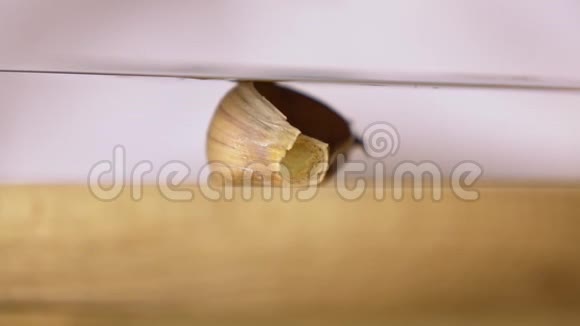 用刀刃将一片蒜瓣压在木砧板上视频的预览图
