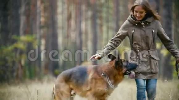 年轻可爱的快乐女人和她的狗德国牧羊人在黄色的秋天公园慢动作视频的预览图