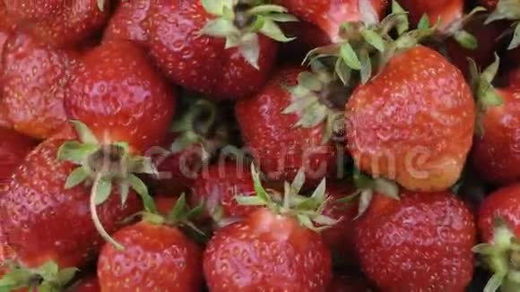 盘子里的草莓视频的预览图
