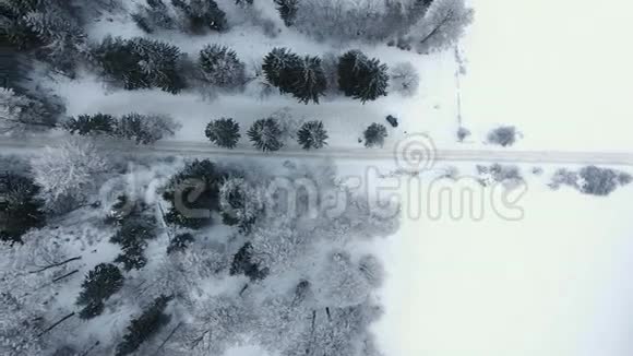 冬林霜视频的预览图