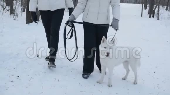 庄稼人在冬天遛狗视频的预览图