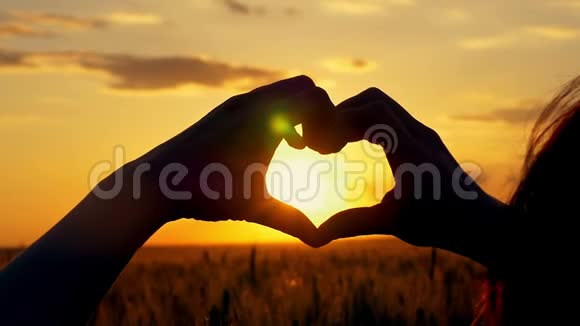 女孩在一片麦田里用双手遮住太阳寻找一颗心视频的预览图