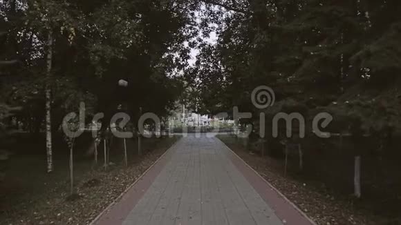 摄像机穿过城市公园的运动视频的预览图