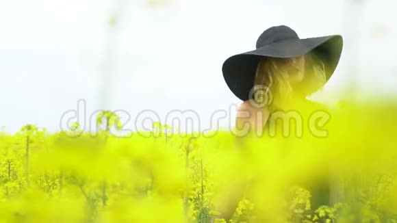 一个穿黑衣的女孩走在卡诺拉的田野里视频的预览图