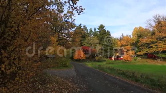 美丽的乡村景观在秋天的一天绿橙树还绿草地视频的预览图