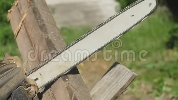 手工电锯把一块木板锯在一根杆子上锯穿一棵树前视慢切一棵树宏观视频的预览图