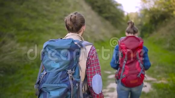 旅游夫妇旅行在自然中行走视频的预览图