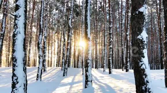 日落时宁静的冬季自然景观视频的预览图