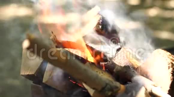 原木在火中燃烧特写烧干木头视频的预览图