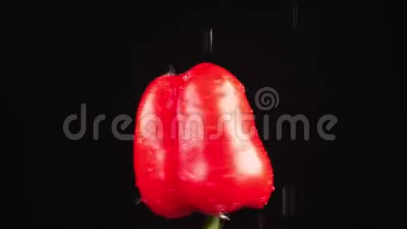 红椒特写水滴落在黑色背景上旋转的苹果上超级慢动作视频的预览图