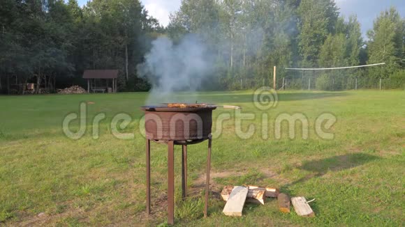 夏天绿草坪烧烤烧烤场上的鸡肉正在准备视频的预览图