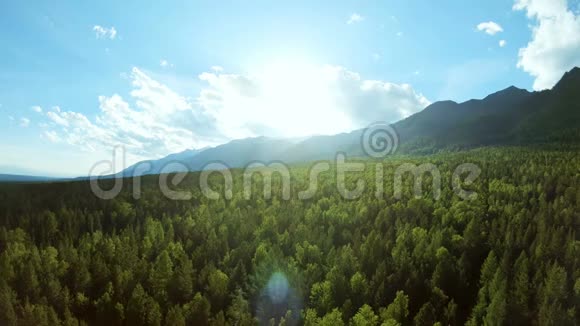 空中观景台飞越美丽的阳光森林空中摄影机拍摄山脉视频的预览图