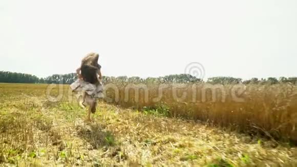 那个长着深色头发的女孩跑过倾斜的麦田穿着卷裙的漂亮女孩穿过视频的预览图