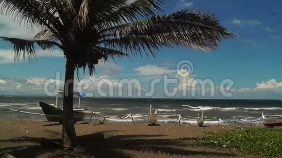 在晴朗的蓝天下海滩旁生长的椰子树视频的预览图