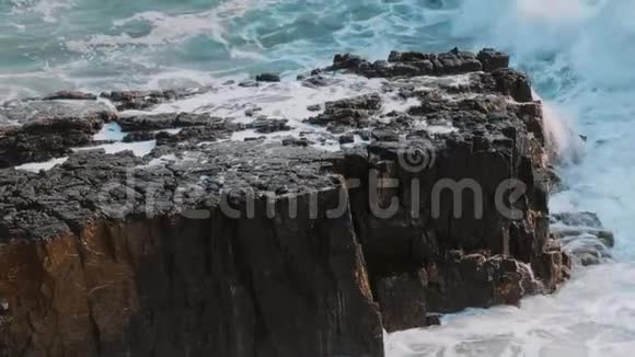 纯净的新鲜狂野的海水视频的预览图