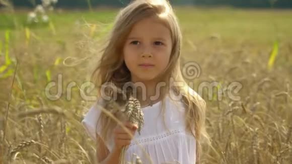 这位漂亮的小女孩手里拿着耳朵在金色的小麦田里花钱可爱的小女孩在收割小麦视频的预览图