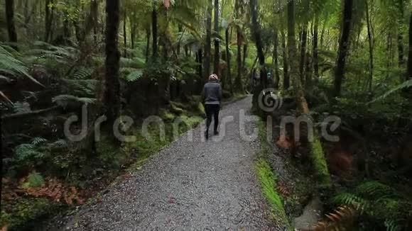 新西兰南岛最受欢迎的旅游目的地马塞森湖自然步道上的游客视频的预览图
