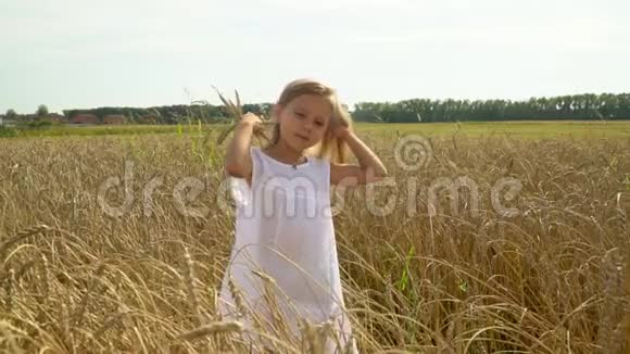 这位漂亮的小女孩手里拿着耳朵在金色的小麦田里花钱这个金发的小女孩花了很多钱视频的预览图