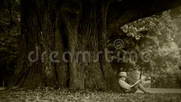 老电影效果片段一个男孩坐在大树下看书视频的预览图