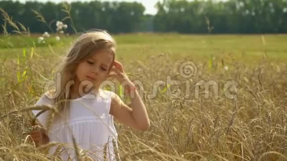 这位漂亮的小女孩手里拿着耳朵在金色的小麦田里花钱这个金发的小女孩花了很多钱视频的预览图