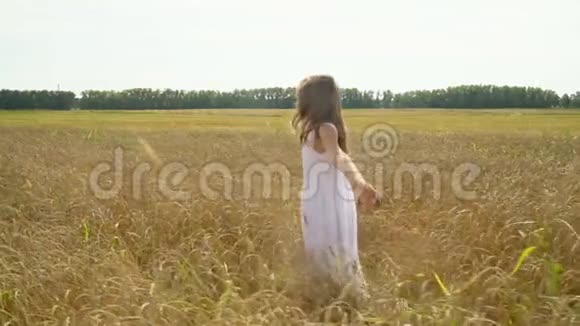 可爱的小女孩在麦田里接触大自然穿着白色裙子的女孩穿过田野视频的预览图