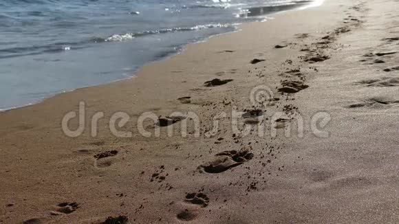 海滩上的脚印4K视频的预览图