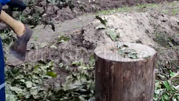 一个人用斧子砍树枝在嘎查工作特写砍树枝体力劳动钢铁视频的预览图