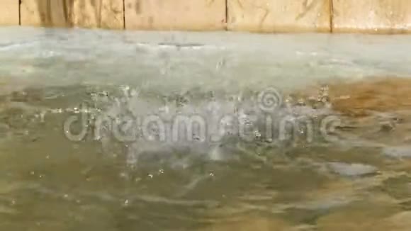 一腔室在水位恒定的流水下落入特写下方的大水团水滴视频的预览图