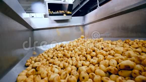 土豆正掉进金属容器里视频的预览图